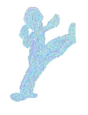 [Coquille Karate/tkd]